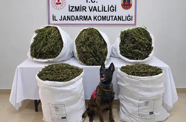 İzmir’de uyuşturucu operasyonu: 54 kilo 800 gram esrar ele geçirildi, 3 kişi tutuklandı