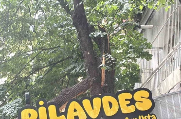 İzmit’te lokantanın üzerine devrilen ağaç dalları çatıda hasara yol açtı 