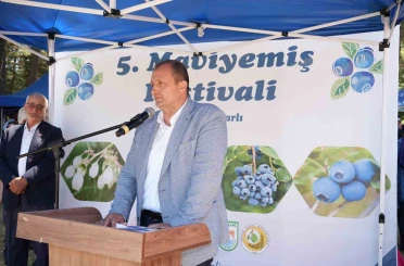 İznik’te 5. Maviyemiş Festivali’ne yoğun ilgi 