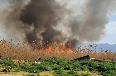 İznik’te rüzgarla birlikte sazlık yangını büyüyor 