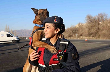 JAKEM’de görev köpekleri zorlu görevlere hazırlanıyor 