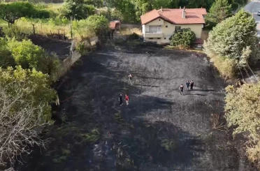 Jandarma, alevlerin arasındaki kaplumbağa ve yavrularını kurtardı 
