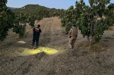 Jandarma incir hırsızlarına geçit vermiyor 