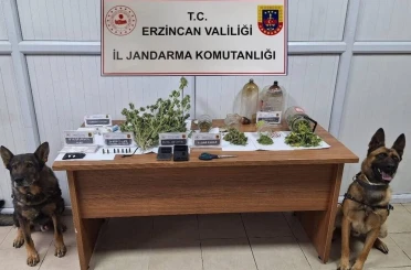 Jandarma Kasım ayı bilançosu: 124 olayın yüzde 93’ü aydınlatıldı 