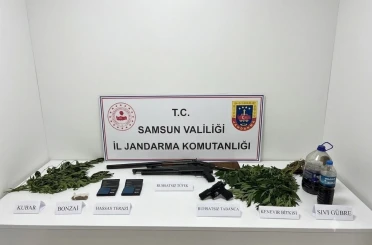 Jandarma uyuşturucu, silah ve kenevir ele geçirildi 