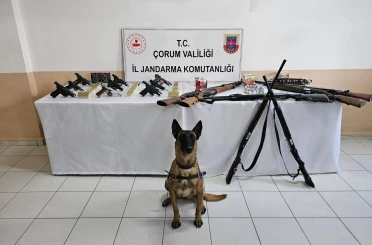 Jandarmadan 'düğün magandaları'na operasyon: 11 gözaltı