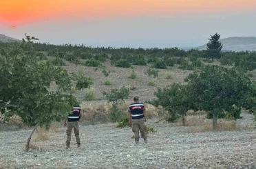 Jandarmadan fıstık nöbeti 