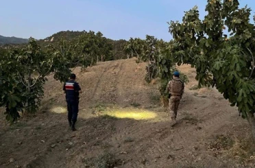 Jandarmadan incir nöbeti 