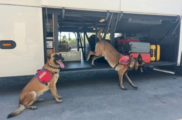 Jandarmadan ‘uyuşturucu’ denetimi 