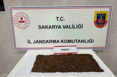 Jandarmadan uyuşturucu operasyonu: 1 tutuklama 