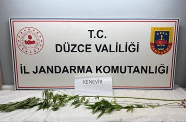 Jandarma’dan uyuşturucu operasyonu 
