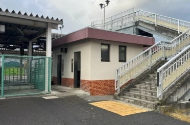 Japonya’da tren istasyonundaki umumi tuvalette ayı saldırısı 