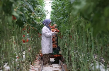 Jeotermal, 2025’te yatırım uykusundan uyandı 