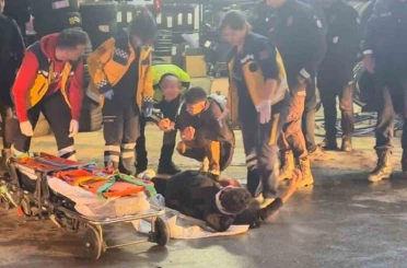 Kaçan sürücü polis aracına çarptı: 2 yaralı 