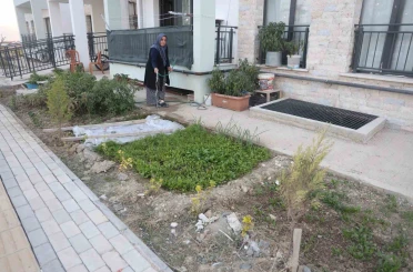 "Kadın eli değen her yer güzelleşir" sözü gerçek oldu: Depremzede kadın yeni yuvasının bahçesini ektiği sebzelerle güzelleştirdi 