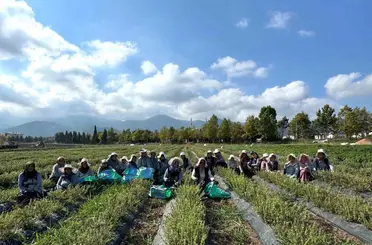 Kadın eliyle tarladan markaya: Emeğin hasadı

