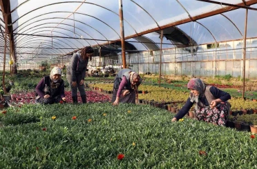 Kadın emeğiyle yerel kalkınma güçlendiriliyor 