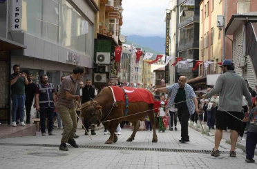 "Kafkasör Festivali" boğalı kortej yürüyüşüyle başladı 