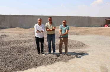 Kahramanmaraş’ta ay çekirdeği hasadı 