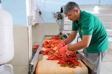 Kahramanmaraş’ta biber salçası mesaisi başladı
