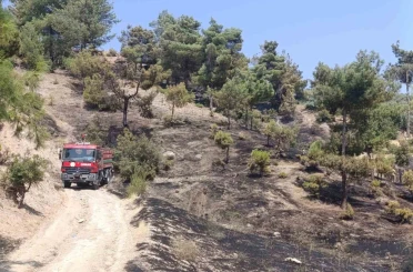 Kahramanmaraş’ta orman yangını kontrol altına alındı 