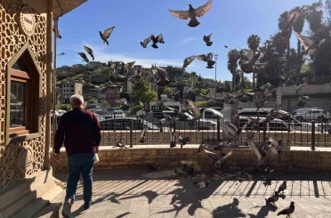 Kahramanmaraş’ta taksici esnafının yol arkadaşı güvercinler 