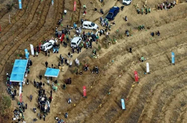 Kahramanmaraş’ta yanan alanlara fidanlar dikildi 