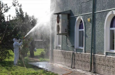 Kahverengi kokarca ile mücadele: 850 hane, 23 kamu alanı ve 623 ahır ilaçlandı 