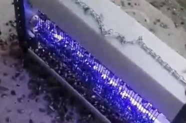 Kahverengi kokarcaya ultraviyole çözüm 