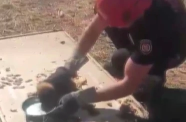 Kanala düşen yavru köpek kurtarıldı 