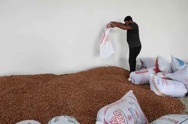 Kandıra’daki yeni depolama merkezi fındık üreticilerine TMO kolaylığı sağlıyor