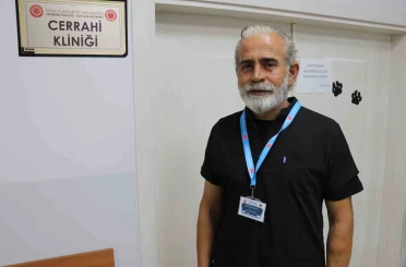 Kangal, çoban gelene kadar kırsalda doğan kuzuya kendi yavrusu gibi sahip çıktı 