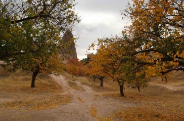 Kapadokya’daki renk cümbüşü dron ile görüntülendi 