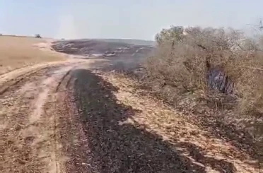 Kapaklı’da çıkan yangında 8 dönüm arazi kül oldu