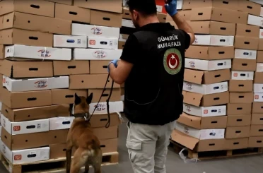 Kapıkule’de tavuk kolilerinden uyuşturucu çıktı: 526 kilo esrar ele geçirildi 