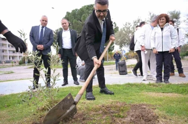 Kar Spor İda Ultra öncesinde zeytin fidanları toprakla buluştu 