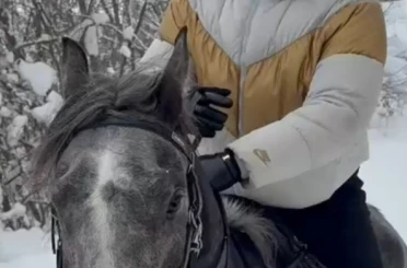 Kar üstünde dört nala at şovu 