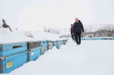 Kar yağışı, koloni kayıplarını ve hastalıkları minimuma indirdi: Arıcılar sezonundan ümitli 