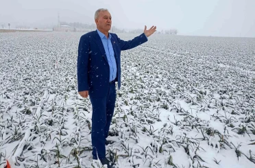 Kar yağışı sarımsak üreticisinin yüzünü güldürecek 