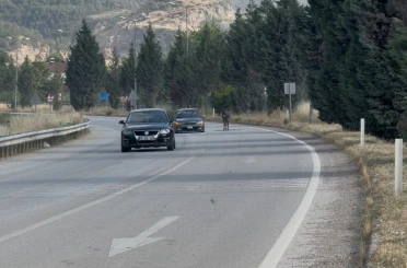 Kara yoluna çıkan eşek trafiği tehlikeye düşürdü 