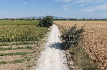 Karaağaçlı Mahallesi’nden Şehzadeler Belediyesi’ne hizmet teşekkürü
