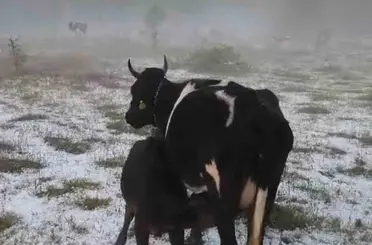 Karabük’te dolu yağışı etkili oldu