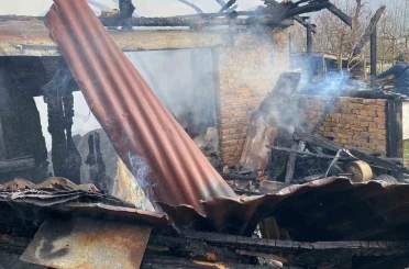 Karabük’te müştemilat yangını: 2 köpek yavrusu telef oldu 