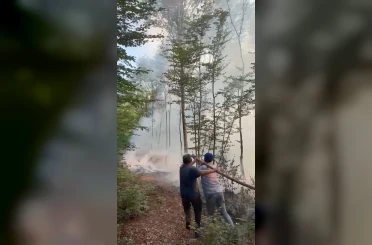 Karacabey’de orman yangını 