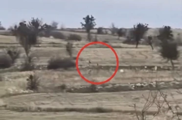 Karacaların hızını gören vatandaşlar hayrete düştü 