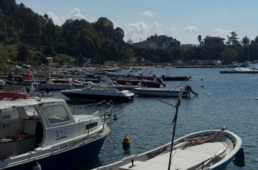 Karadeniz’de bu yıl hamsi beklentisi büyük 