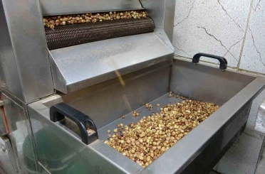 Karadeniz’de fındık hasadı tamamlandı: Üretici kırma ve kavurma işini artık işletmelere bırakıyor 