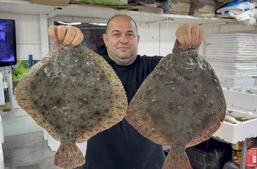 Karadeniz’de hamsi bereketi diğer balık türlerini de canlandırdı 