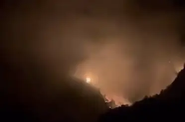 Karaisalı’da ormanlık alanda yangın
