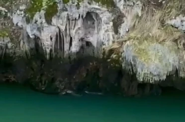 Karakoçan’da su samurları görüntülendi 